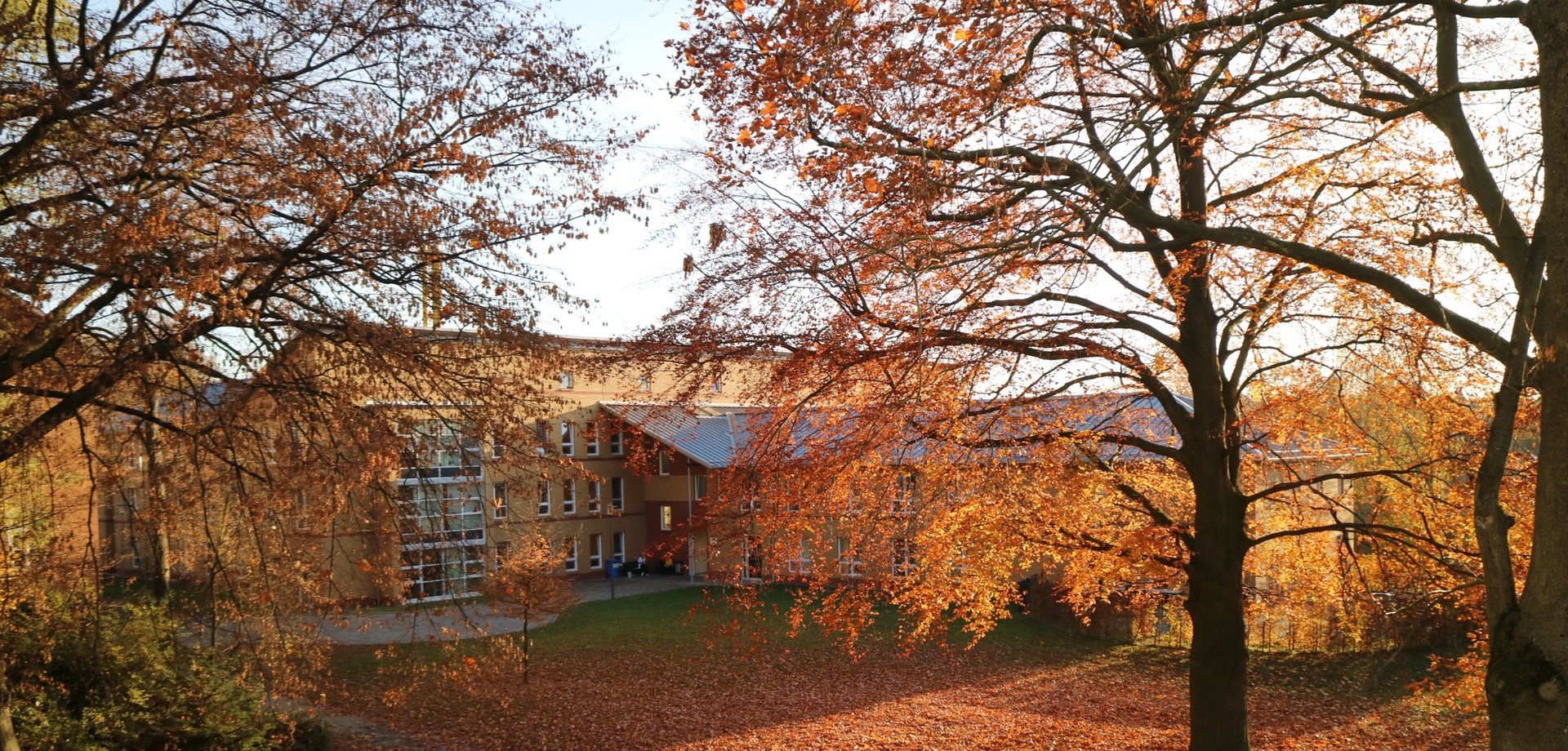 Rückwärtig Ansicht des Pflegezentrums. Im Vordergrund herbstlich Bäume mit gelbem Laub