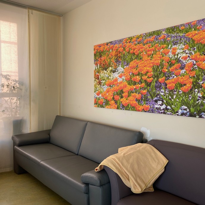 Eine rote Ledercouch. Darüber an der Wand eine große Fotografie die eine Blumenwiese zeigt (vergrößerte Bildansicht wird geöffnet)